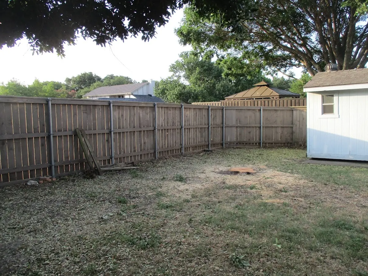 Cleared yard after professional tree removal in Coraopolis
